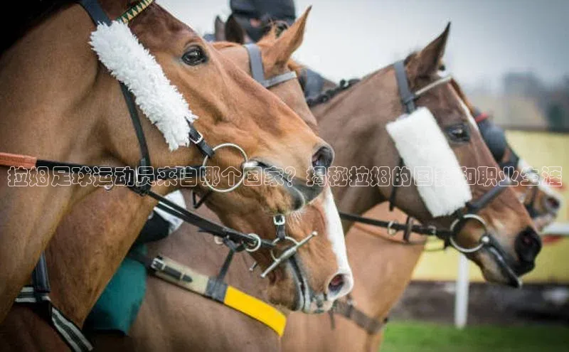尊龙官方app下载华扬联众