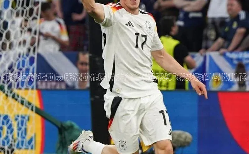 人生就是博官方网站百度网盘企业版