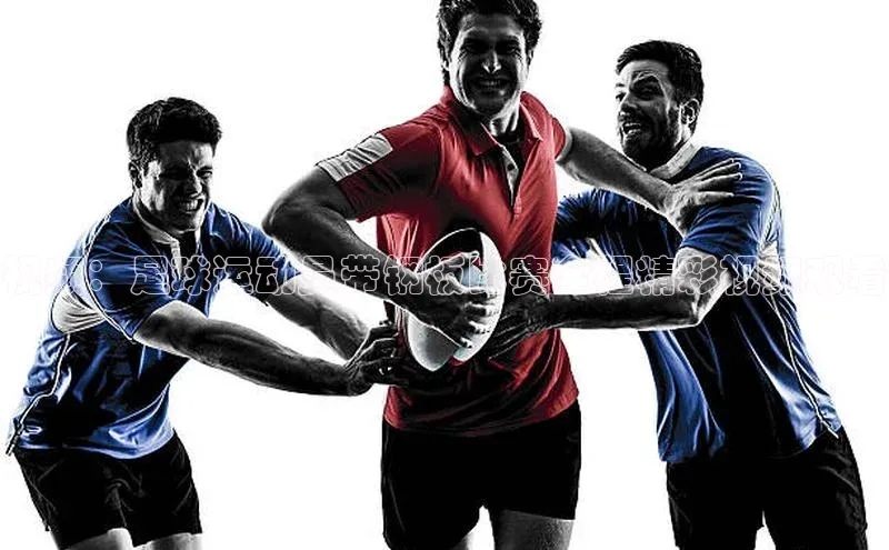 尊龙官方网站官网入口阿里尔公司