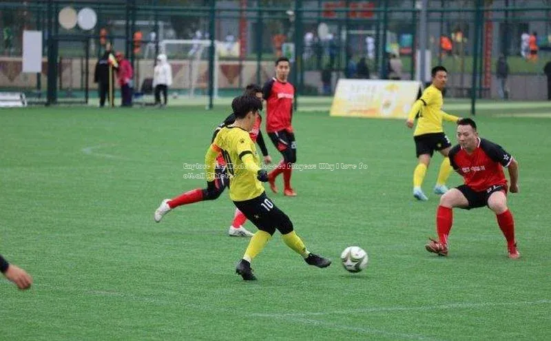 尊龙官网入口小度商城