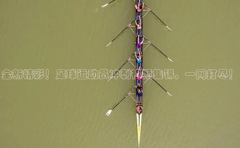 z6com尊龙凯极氪智能科技