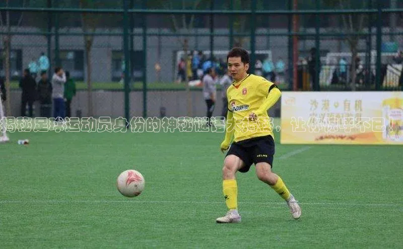 人生搏z6mg官网入口百度翻译