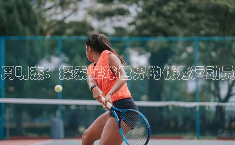 尊龙凯时人生就是博·(中国)百度识图