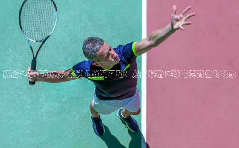 z6com尊龙凯百度手机助手