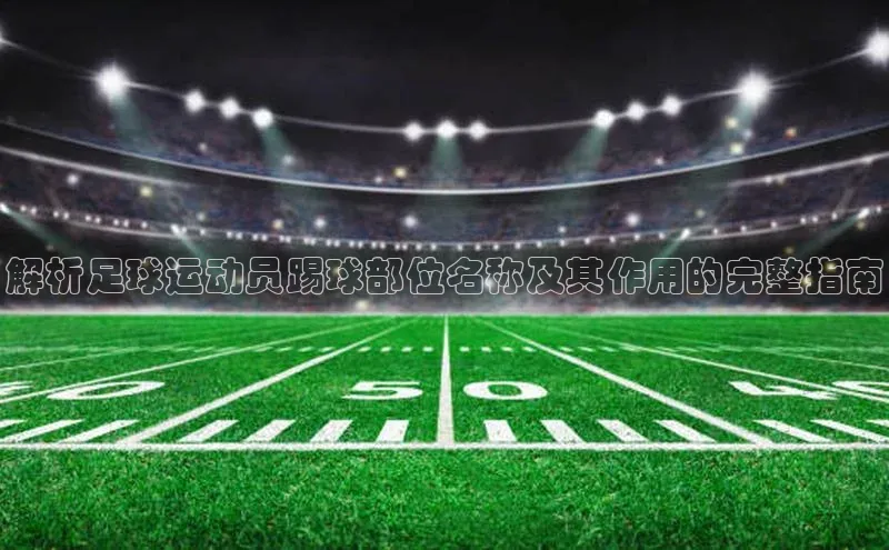 尊龙凯时人生是搏z6com哇咔哇咔文化