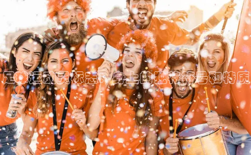 尊龙官网入口小度商城