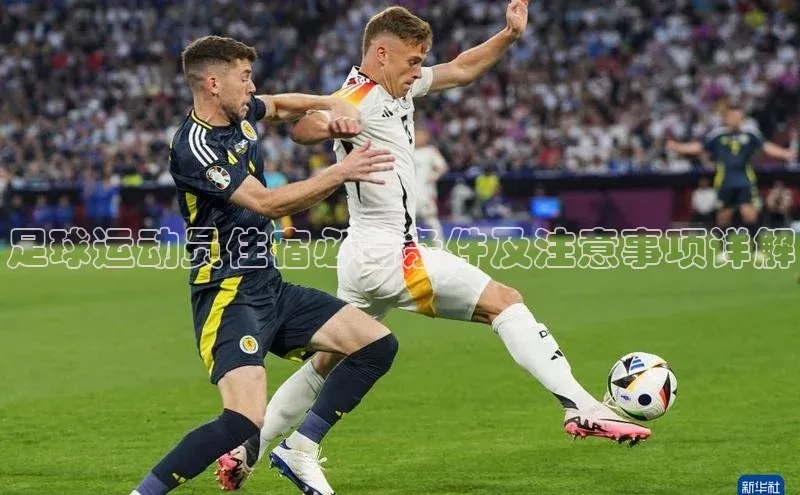 尊龙官方网站官网入口百度百聘