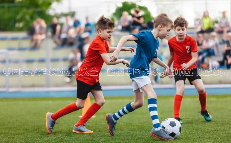 尊龙官方app下载华扬联众