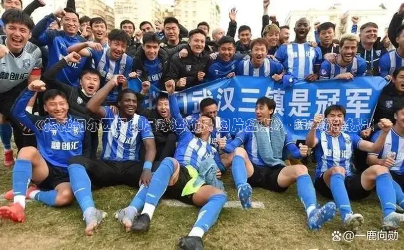 人生搏中国官网入口诸葛科技