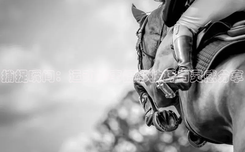 尊龙凯时人生是搏z6com