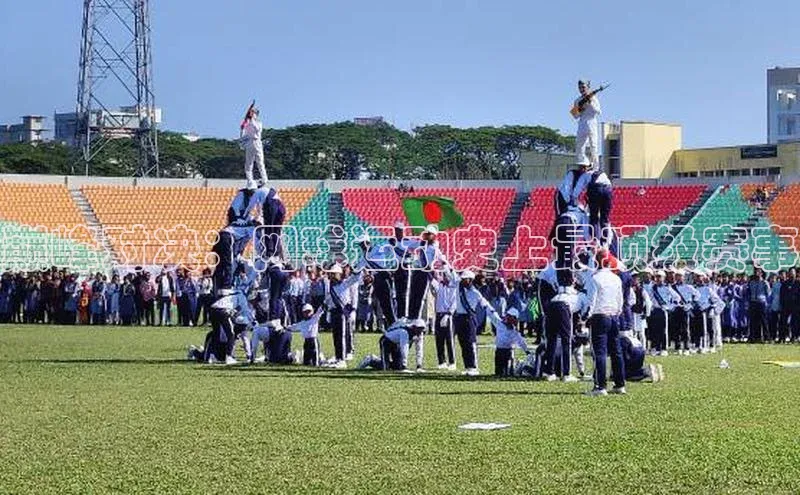 z6mg尊龙官方网站进入