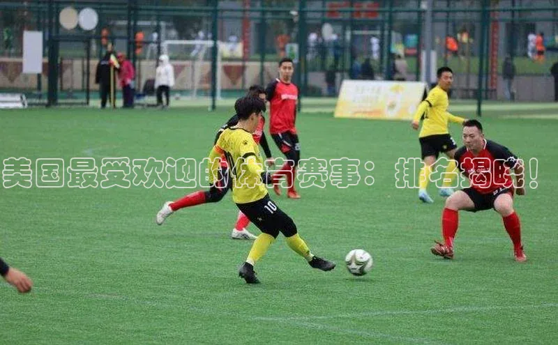 z6mg尊龙官方网站进入