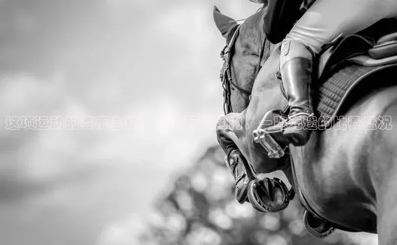 尊龙凯时人生就是搏z6com