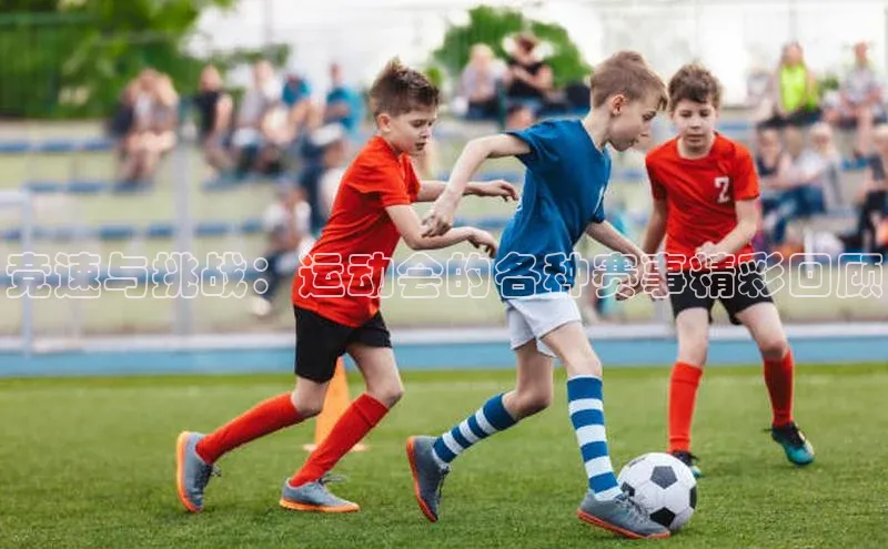 尊龙网站人生就是博